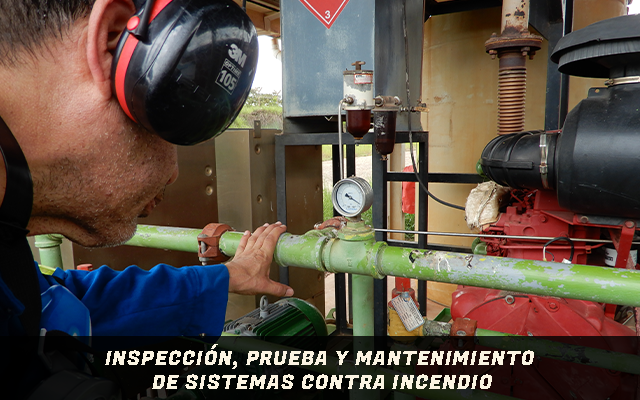 Inspección